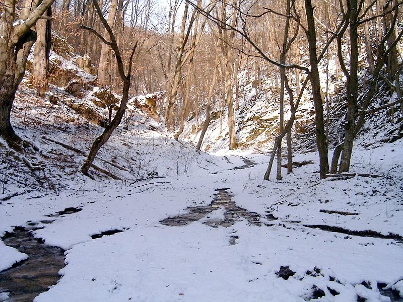 20110122 039.jpg